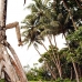 nusalavu_v_0705_0078.jpg